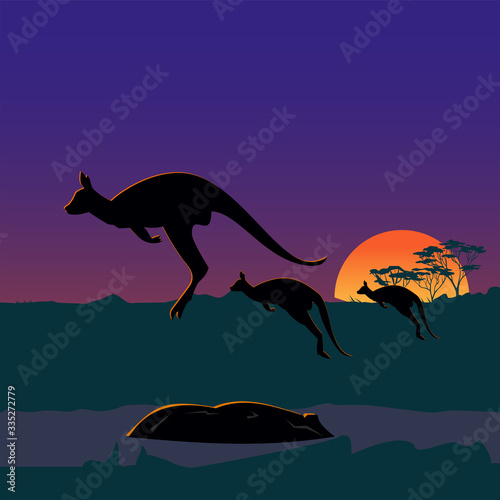 Three large kangaroos on the Australian plains  wild nature of Australia.