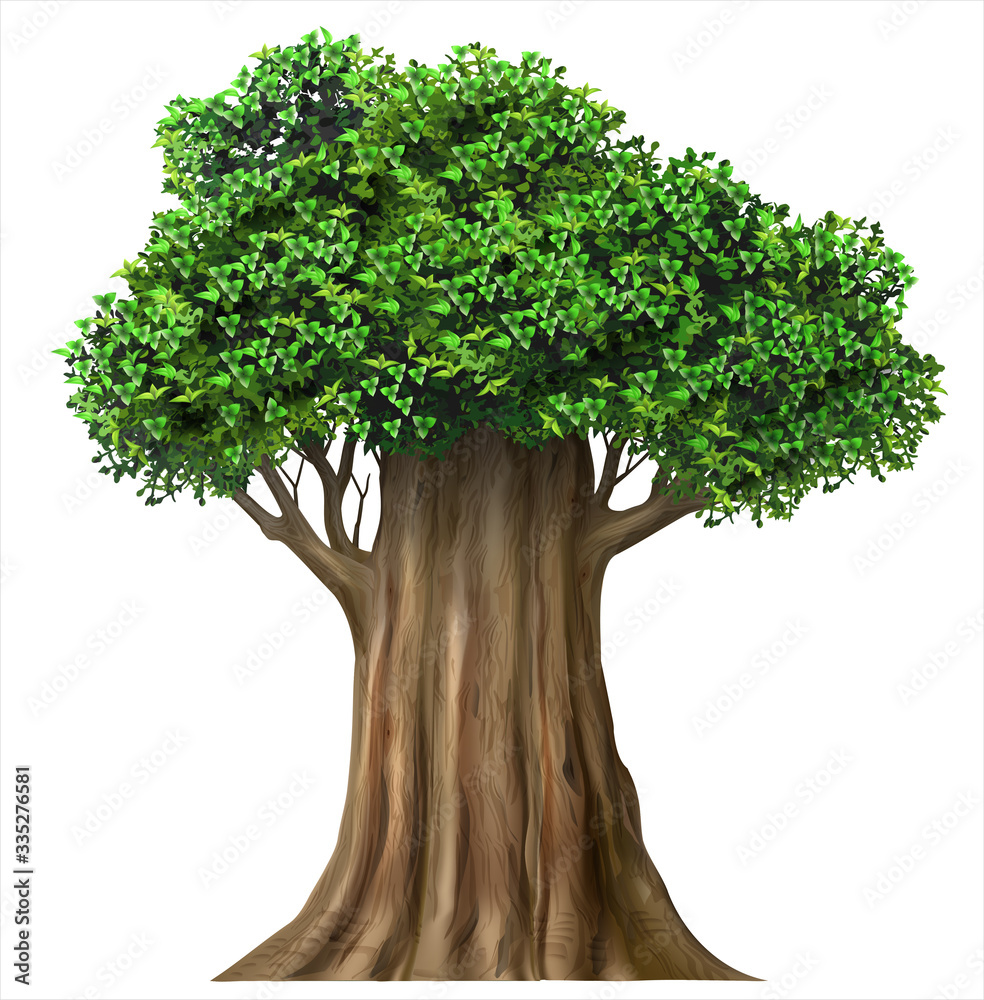 Realistic fairy old oak tree in vector