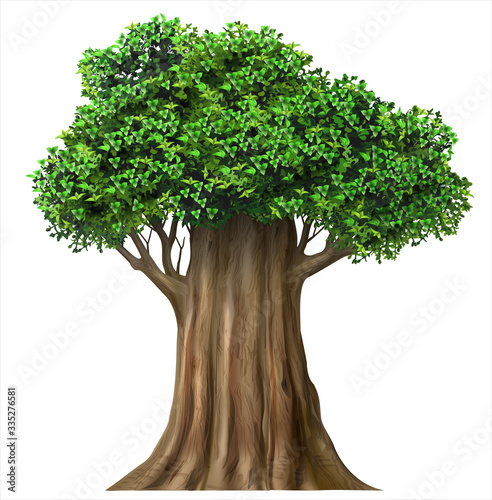 Vászonkép Realistic fairy old oak tree in vector