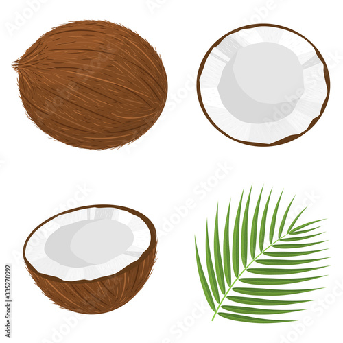 Fotografie, Tablou Set of exotic whole, half, cut slice coconut fruits and leaves isolated on white background