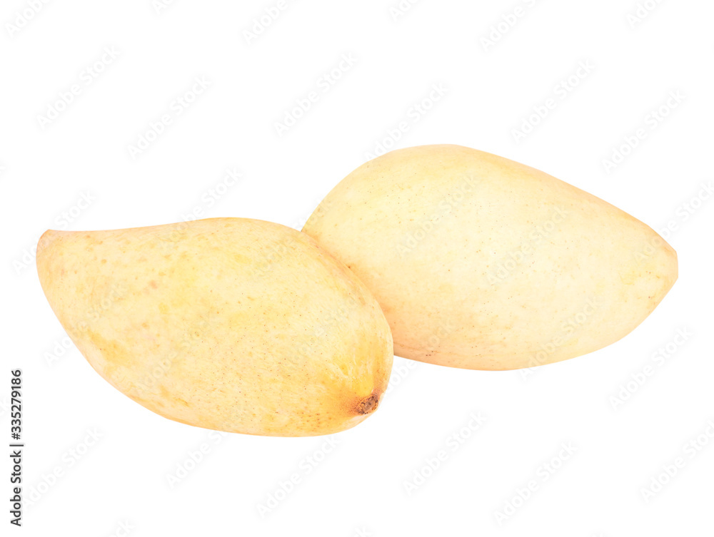 Ripe mangoes on a white background( Clipping path) Ripe mangoes on a white background( Clipping path)