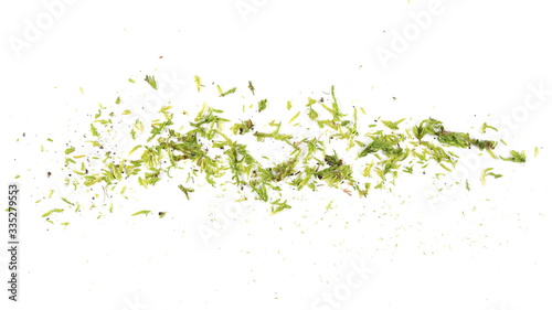 Fresh crumbled leaf moss pile isolated on white, background and plant texture, top view