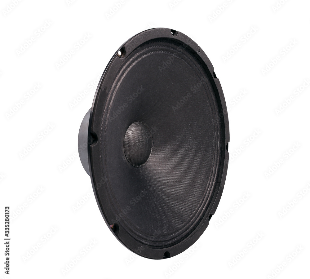 custom made wallpaper toronto digitalAudio speaker isolated with clipping path on white background