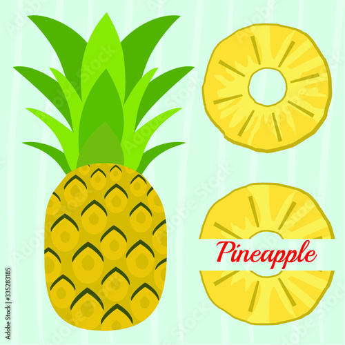 Seamless Vector pineapple background. Exotic tropical fruit. Summer fruits for healthy lifestyle. Pineapple fruit. Vector illustration. Pineapple illustration, typography, t-shirt graphics, vectors.