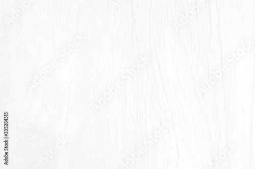 Wood texture on white background, Beautiful white background environmental day ideas concept. Free space for text.