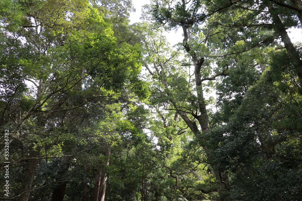 伊勢神宮内宮 伊勢神宮内宮