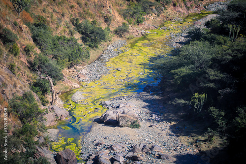 Dirty Green River in the Small Local Village near Keren , Eritrea photo