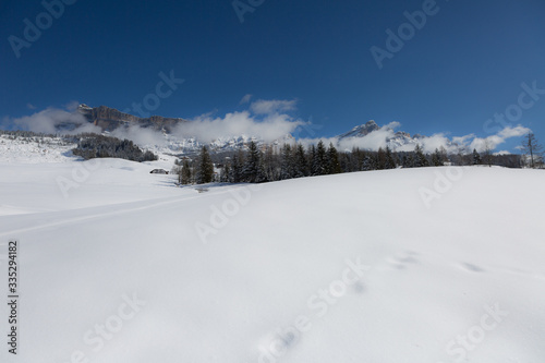 Beautiful Day in the Mountains with Snow-covered Fir Trees and a Snowy Mountain Panorama © GioRez