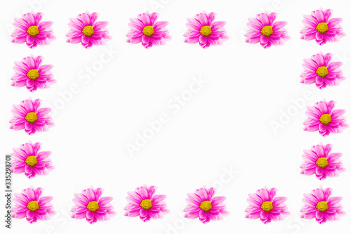 decorative collage frame of pink chrysanthemum flowers