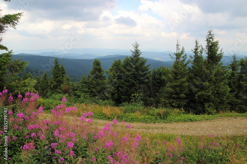 
Views and landscapes in the mountains