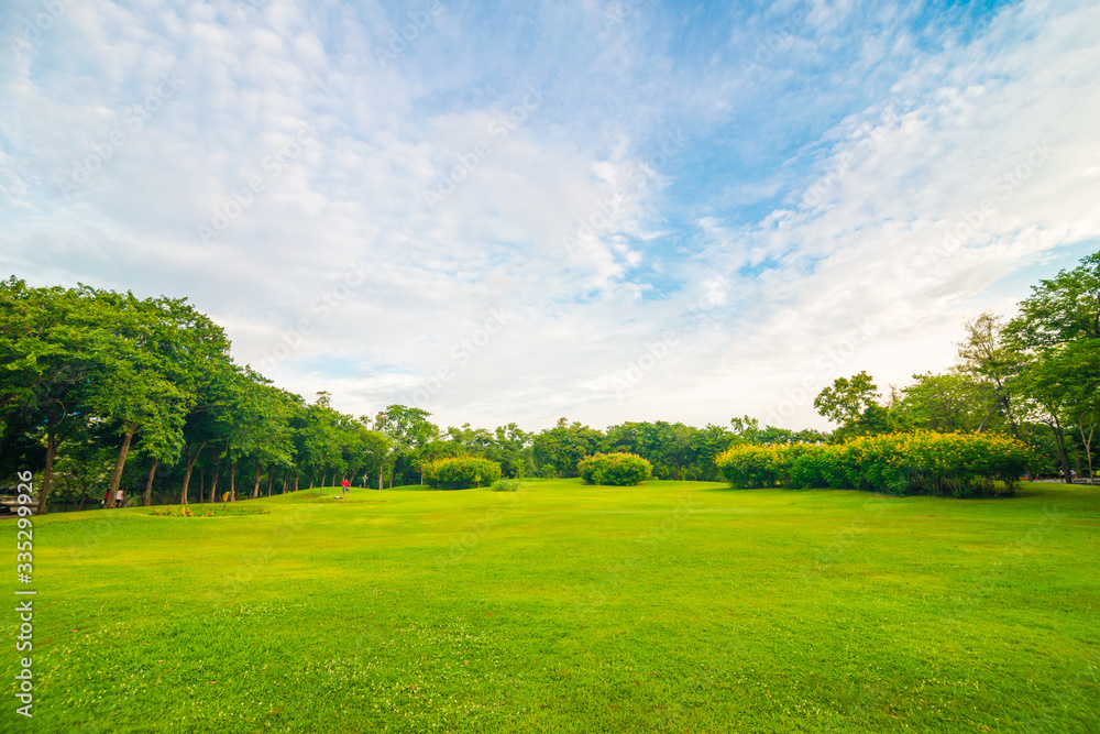 Obraz premium Green public park meadow blue sky for leisure