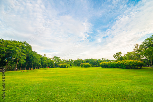 Fototapeta Naklejka Na Ścianę i Meble -  Green public park meadow blue sky for leisure
