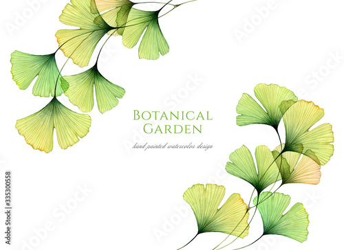 Watercolor floral background. Card template with transparent green leaves and place for text. Hand painted artwork with Maidenhair tree. Realistic and botanical illustration