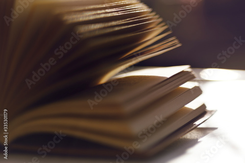 Open book in sunlight, soft blurry background © Laura