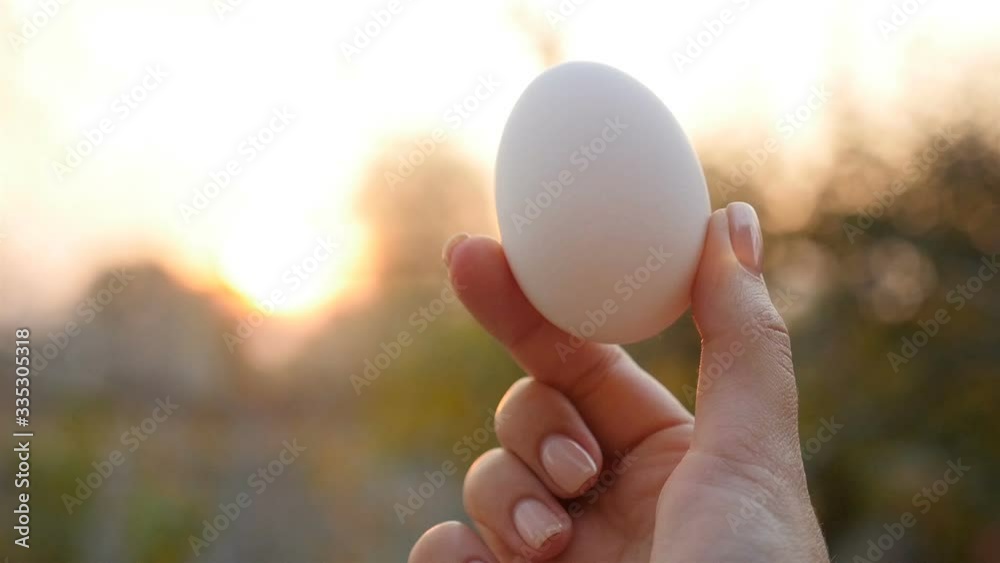 Easter egg in a female hand. Close-up