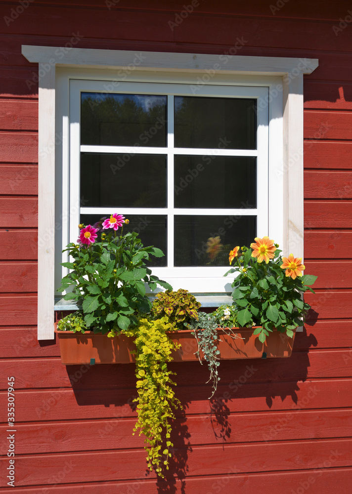 Scandinavian window with flower box.
