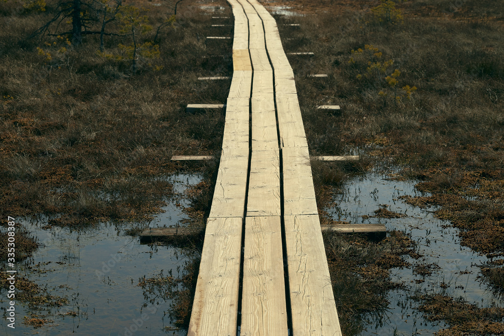eco trail wooden platform among the swamp forward perspectively