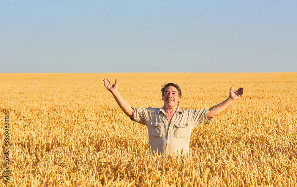 farmer standing in a wheat field farmer standing in a wheat field