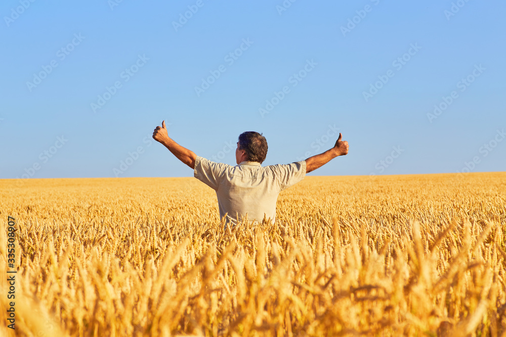 happy farmer, businessman, standing in wheat field with his hands and thumbs up happy farmer, businessman, standing in wheat field with his hands and thumbs up