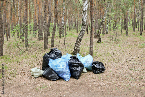 Garbage bags filled with waste among the trees in the forest. Environmental pollution by household waste. Plastic bags with trash.