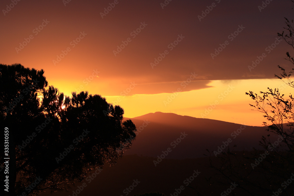 Beautiful sunset landscape with red sky and tree shadow