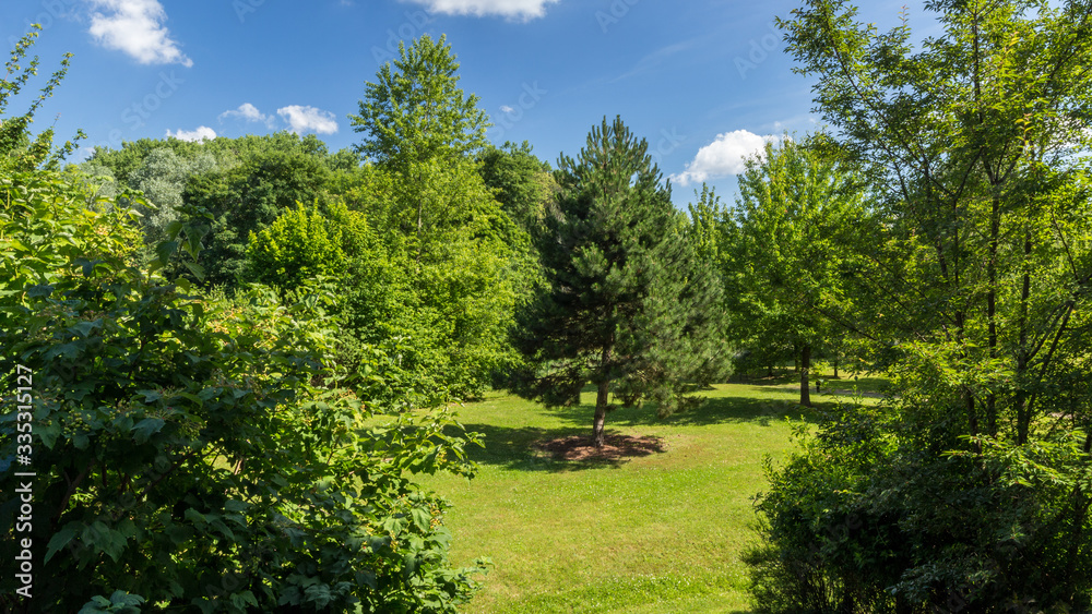 Green trees in a Summer day  in Souffelweyersheim