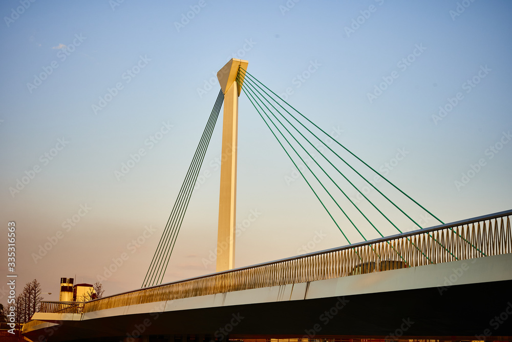 Fototapeta premium bridge in golden light in Tokyo