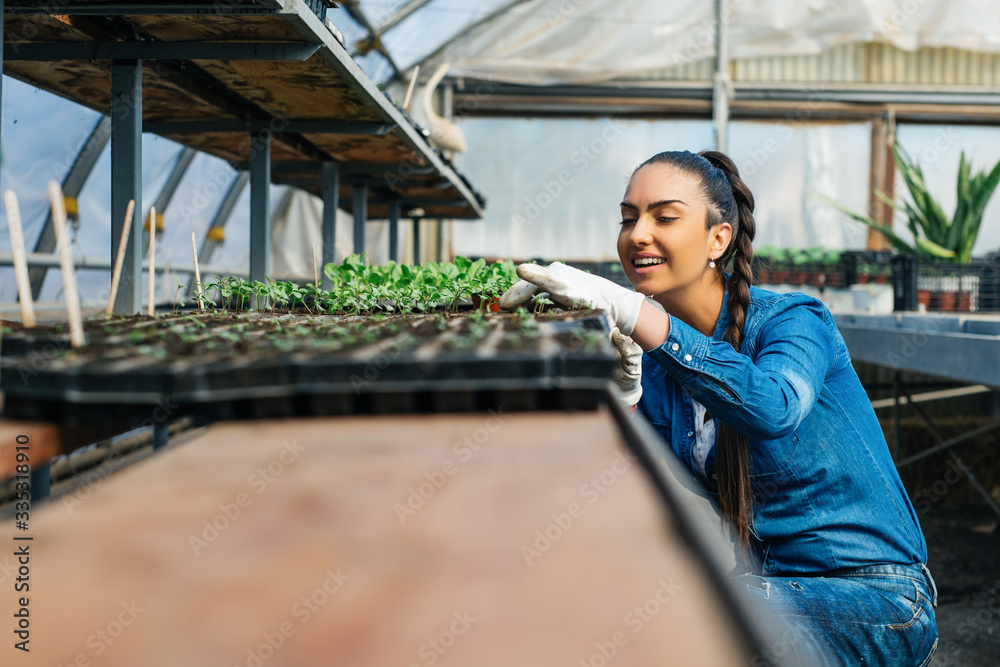 Attractive young woman working in greenhouse. Attractive young woman working in greenhouse.