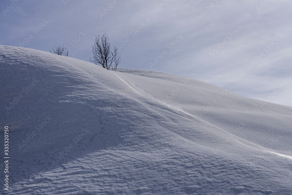 Neige, vallée de l'Ubaye, Mercantour, France