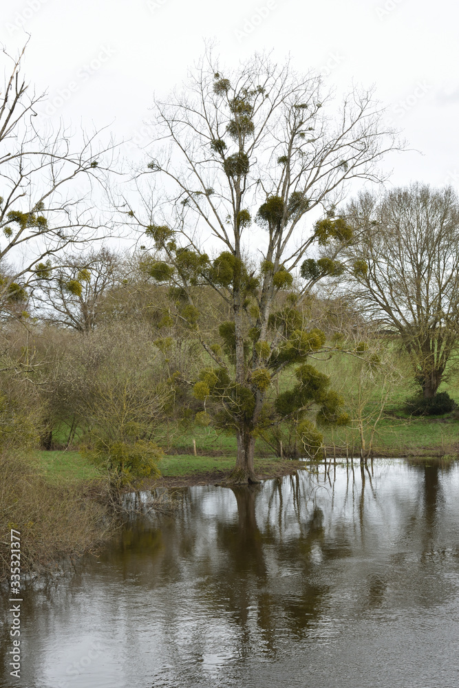 Village de Cheix en Retz dans le département de la Loire Atlantique et sa rivière l'Acheneau en crue et qui déborde le long du rivage en créant des paysages sublimes de berges inondées et de barques 