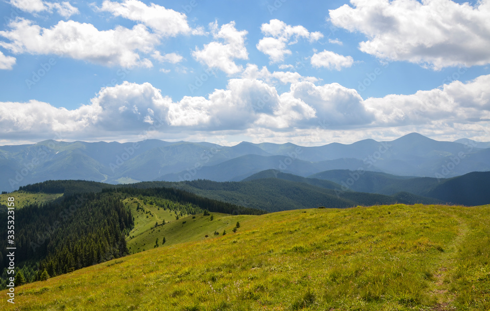 Landscape of green meadow covered with fresh grass in the summer mountains Forest glade high in the mountains in a cloudy day. Chornogora range on background. Carpathian, Ukraine