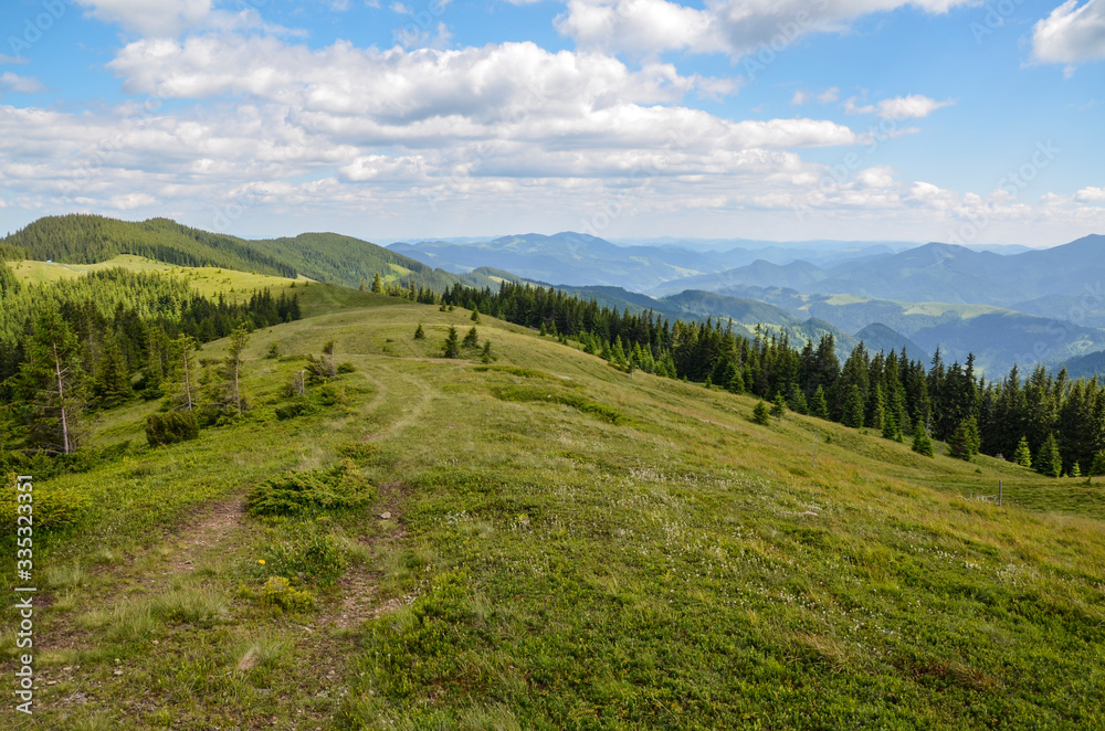 Obraz premium Landscape of green meadow covered with fresh grass in the summer mountains Forest glade high in the mountains in a cloudy day. Chornogora range on background. Carpathian, Ukraine