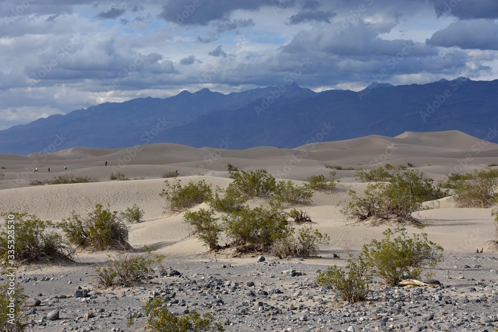 Mesquite dunes - Death Valley national park - California USA