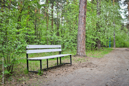 Wooden bench by the forest trail in the park. The concept of forest walks and loneliness