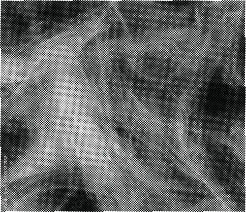 Abstract white smoke texture on black background