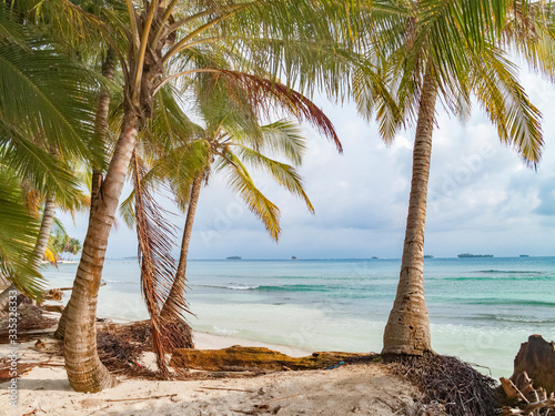 palm Islands of the remote ...