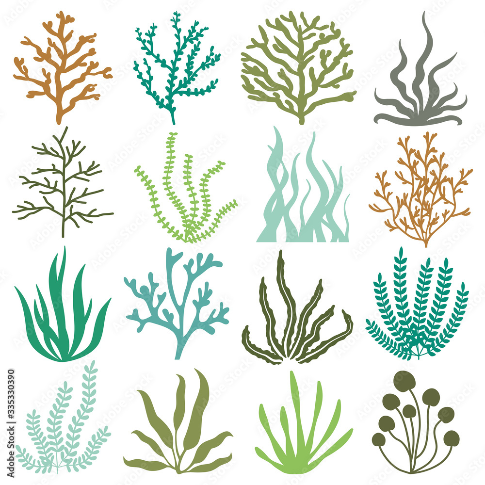 SEAWEED PLANTS VECTOR SET