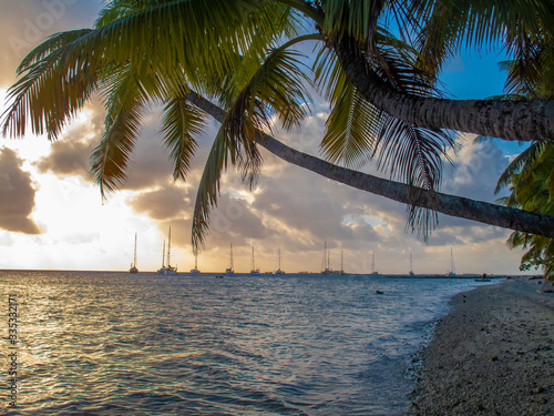 Sailing yachts anchoring in...