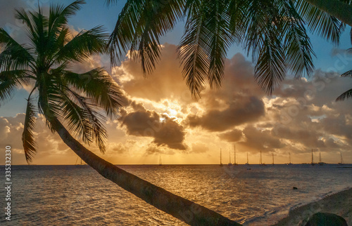 Sailing yachts anchoring in...