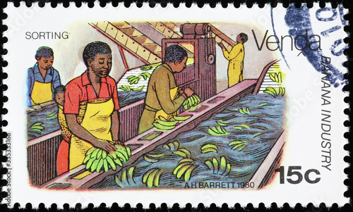 Sorting bananas on african postage stamp