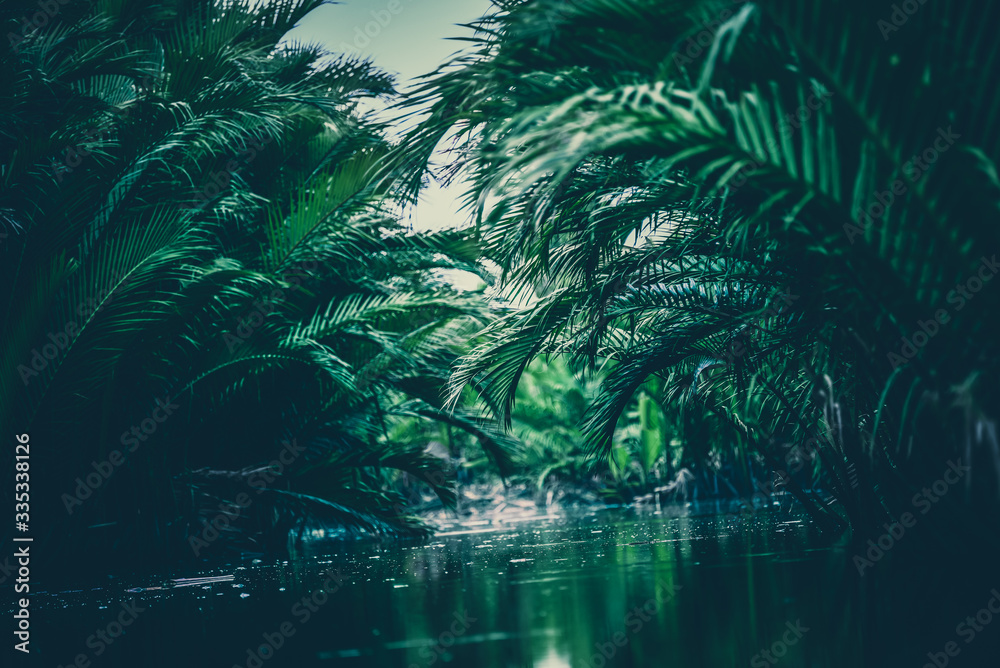 Fototapeta tropikalne liście nad wodą