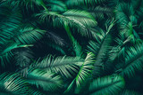 tropical forest natural background, nature scene in green tone style, concept of relax and freedom lifestyle using for spa and travel