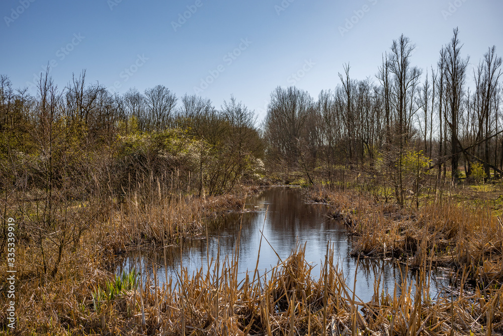 A close up of a pond