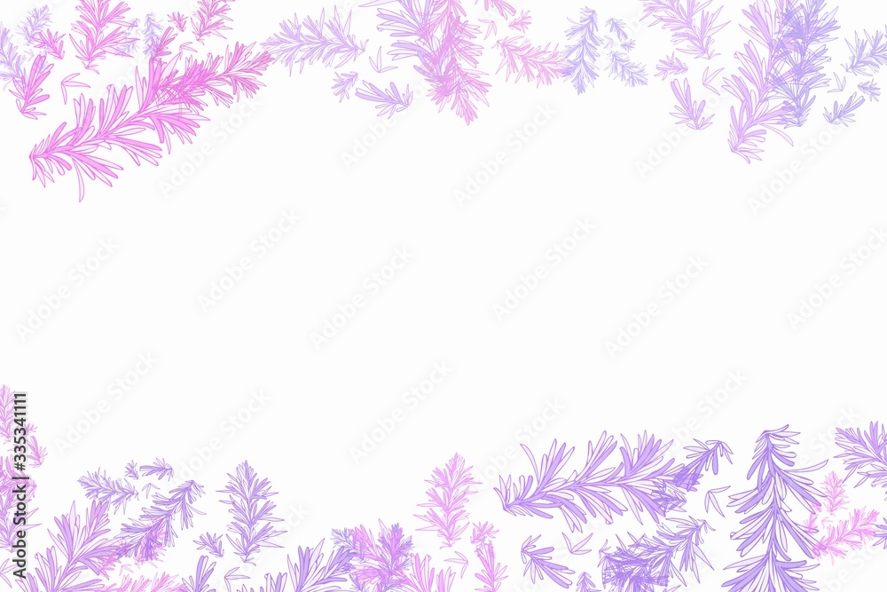 Colorful botanical frames background illustration