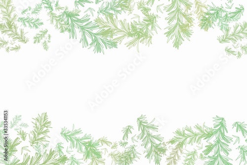 Colorful botanical frames background illustration © Andrea
