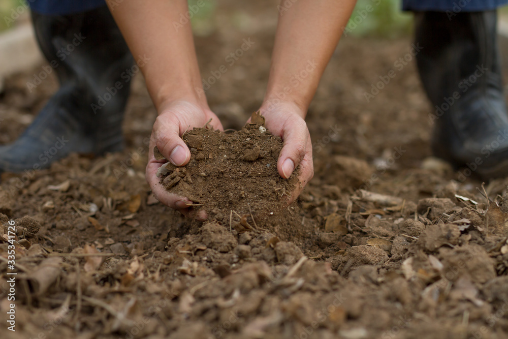 Expert hand of farmer checking soil health before grow a seedling or sowing a seed of vegetable at organic farm. Expert hand of farmer checking soil health before grow a seedling or sowing a seed of vegetable at organic farm.