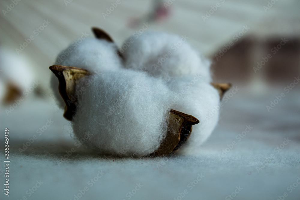 Artificial cotton flowers on a blanket Artificial cotton flowers on a blanket