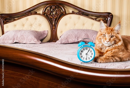 Obraz na plátně Alarm.