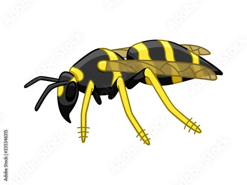 Cartoon style side view wasp isolated illustration on white background