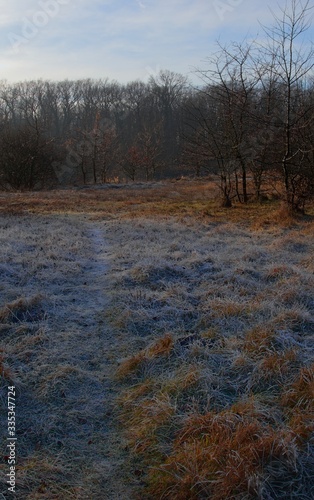 Łąka ciepła, zimna